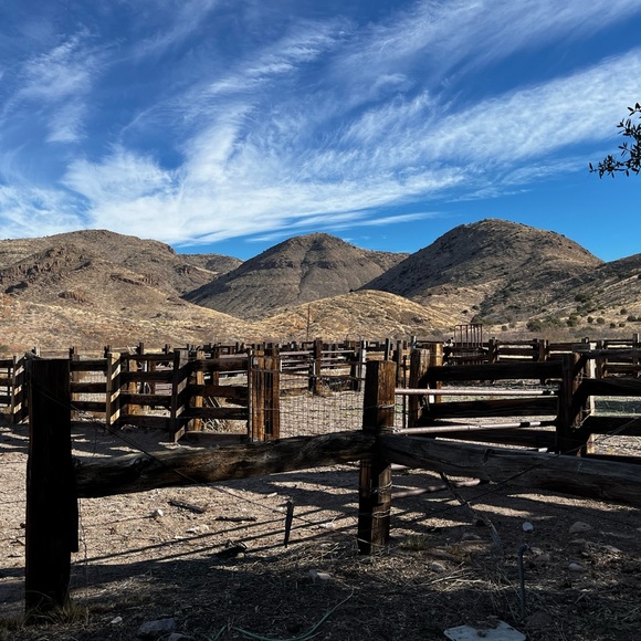 Meet your Posher, Kim - Picture 1 of 5